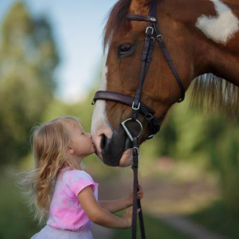 Любовь к лошадям и единорогам