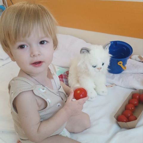Поможем Пете получить особенное питание