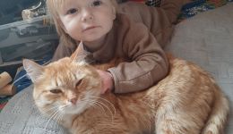 Сбор для Пети Мурзина закрыт меньше, чем за сутки