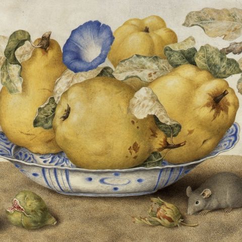 Школа особенных детей: мастер-класс "Мышь в искусстве"