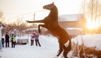 Это было очень здорово