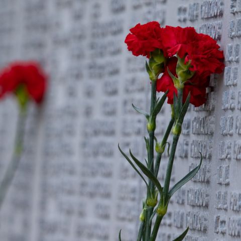 Как подопечные фонда «Обыкновенное чудо» провели День Победы
