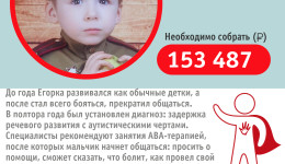 Благотворительная акция "Дорогою добра" в поддержку подопечного фонда Егора Смирнова в МАОУ СОШ №19